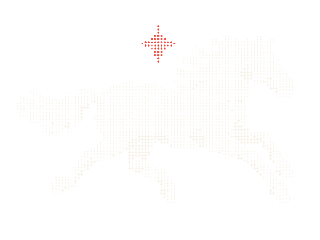 a horse with north star above in ascii art.